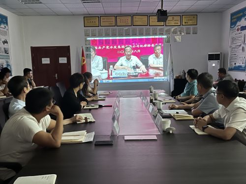 【河海水文】水發(fā)水控集團(tuán)黨委委員、紀(jì)委書(shū)記王高升到河海公司全面從嚴(yán)治黨、黨風(fēng)廉政建設(shè)專題調(diào)研 (1).jpg